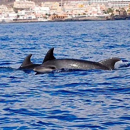 Costa Del Silencio 1 Hotel Arona (Tenerife)